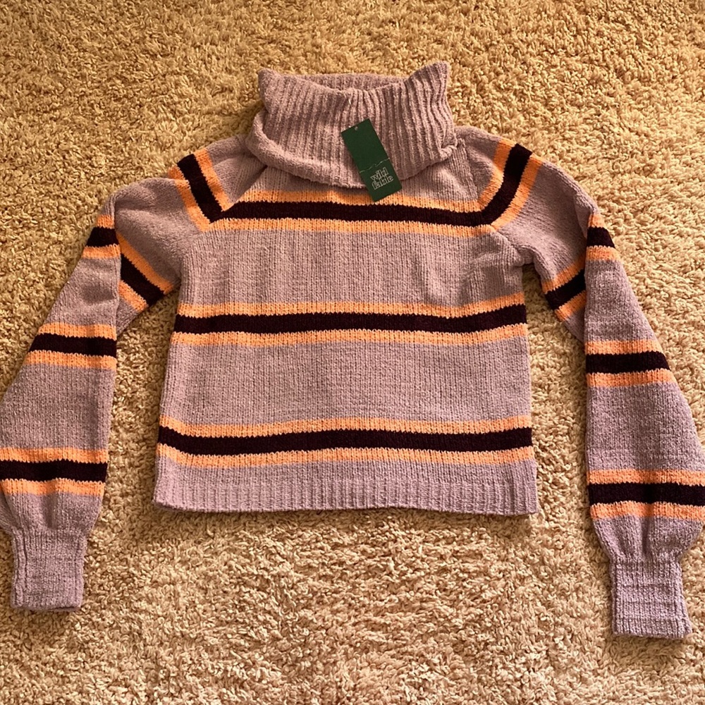 Wild Fable sweater